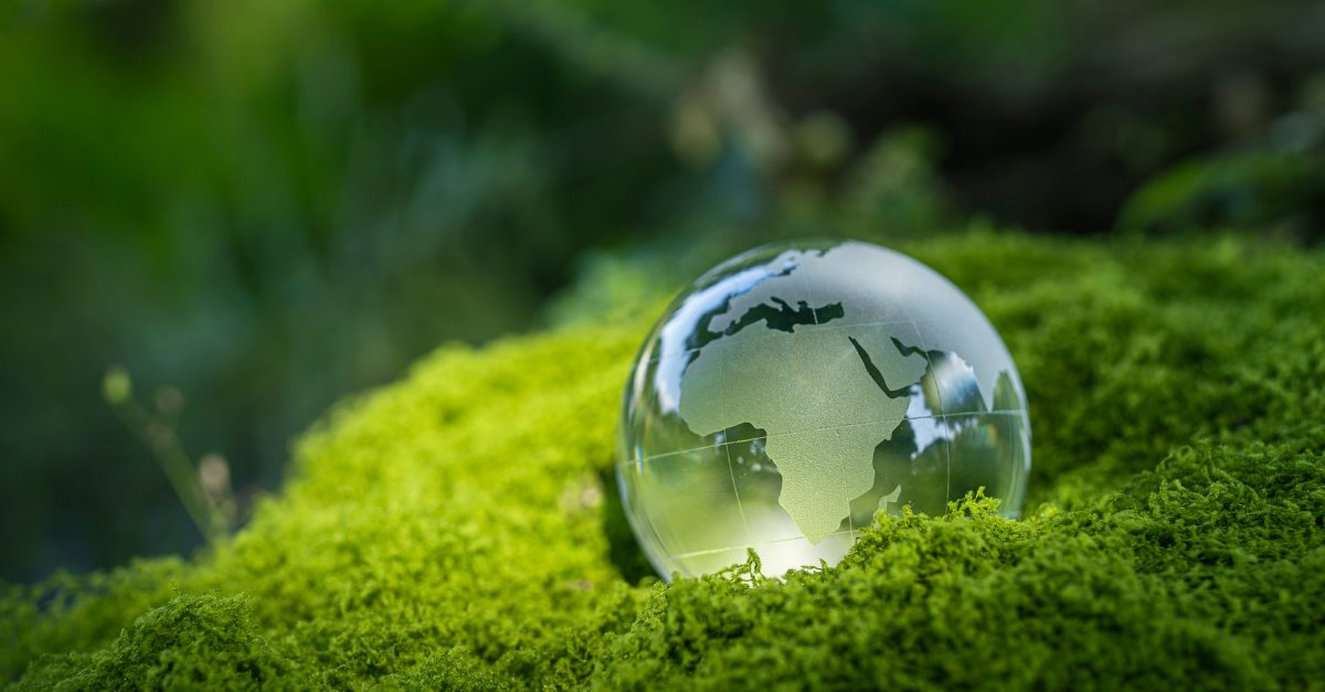 How to market your carbon reduction achievements (without greenwashing)